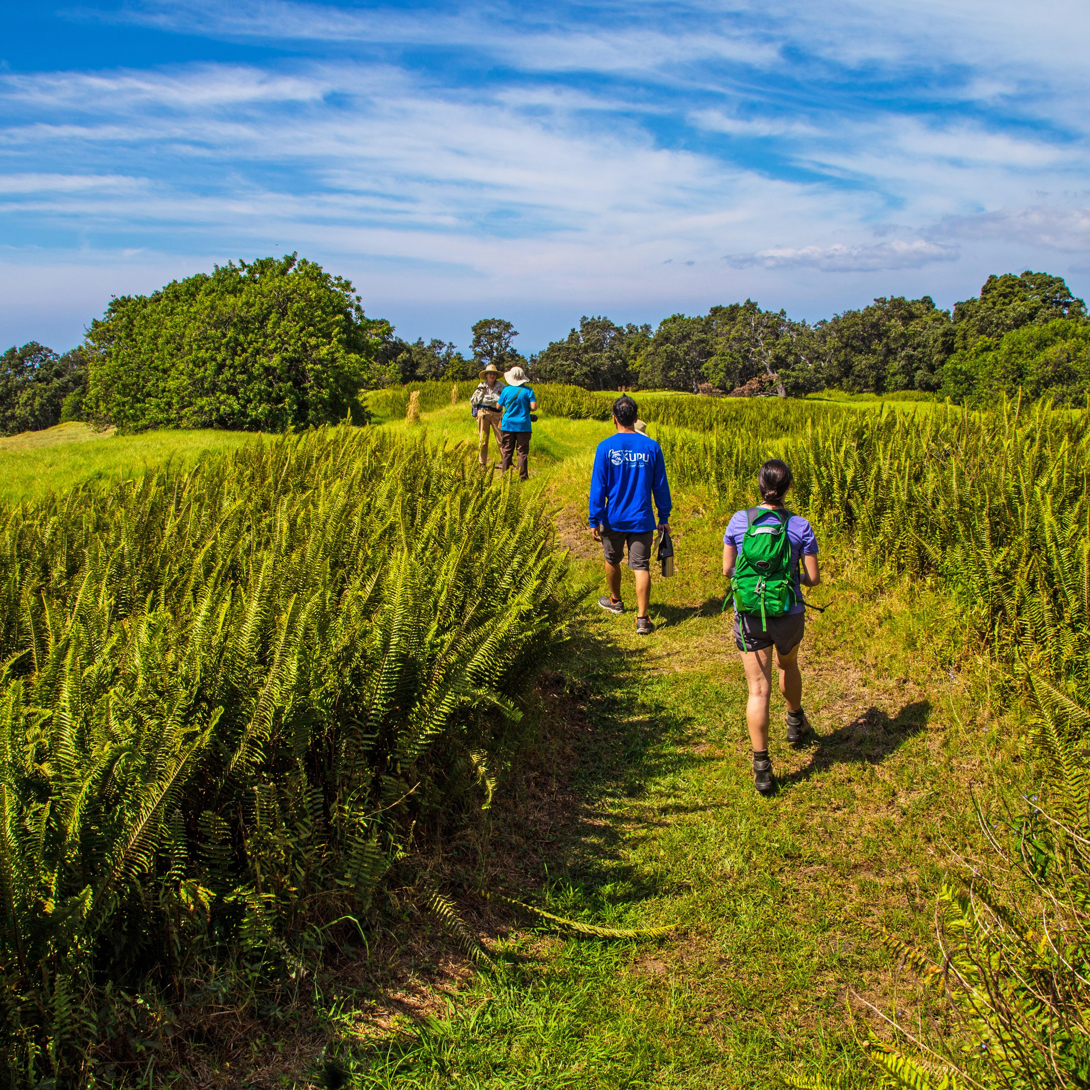 Hikers walking through grass with park ranger