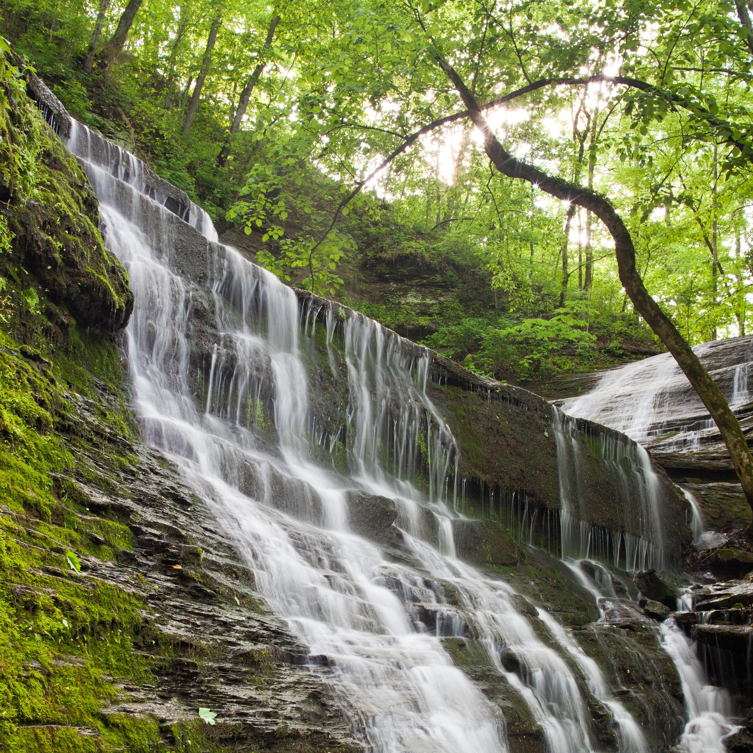 Water cascades down wet and moss-covered rocks. Trees with green leaves surround the waterfall.