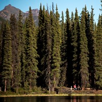 people sitting on a forested lakeshore