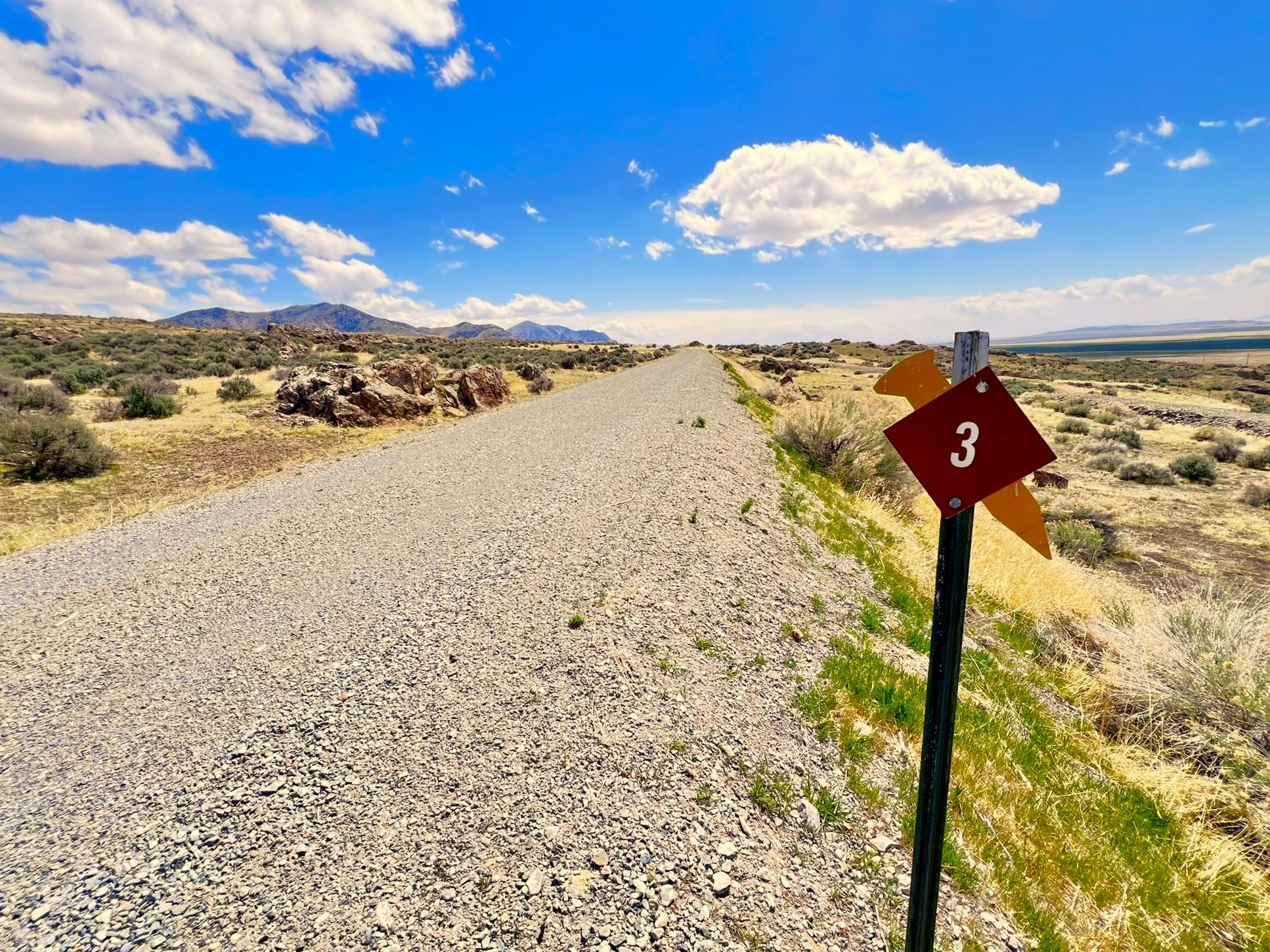 Gravel road through landscape of yellow and green sagebrush with some clouds in a blue sky