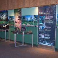 A museum display at Kings Canyon Visitor Center