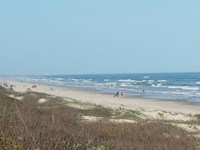 Several people play and walk along the beach.