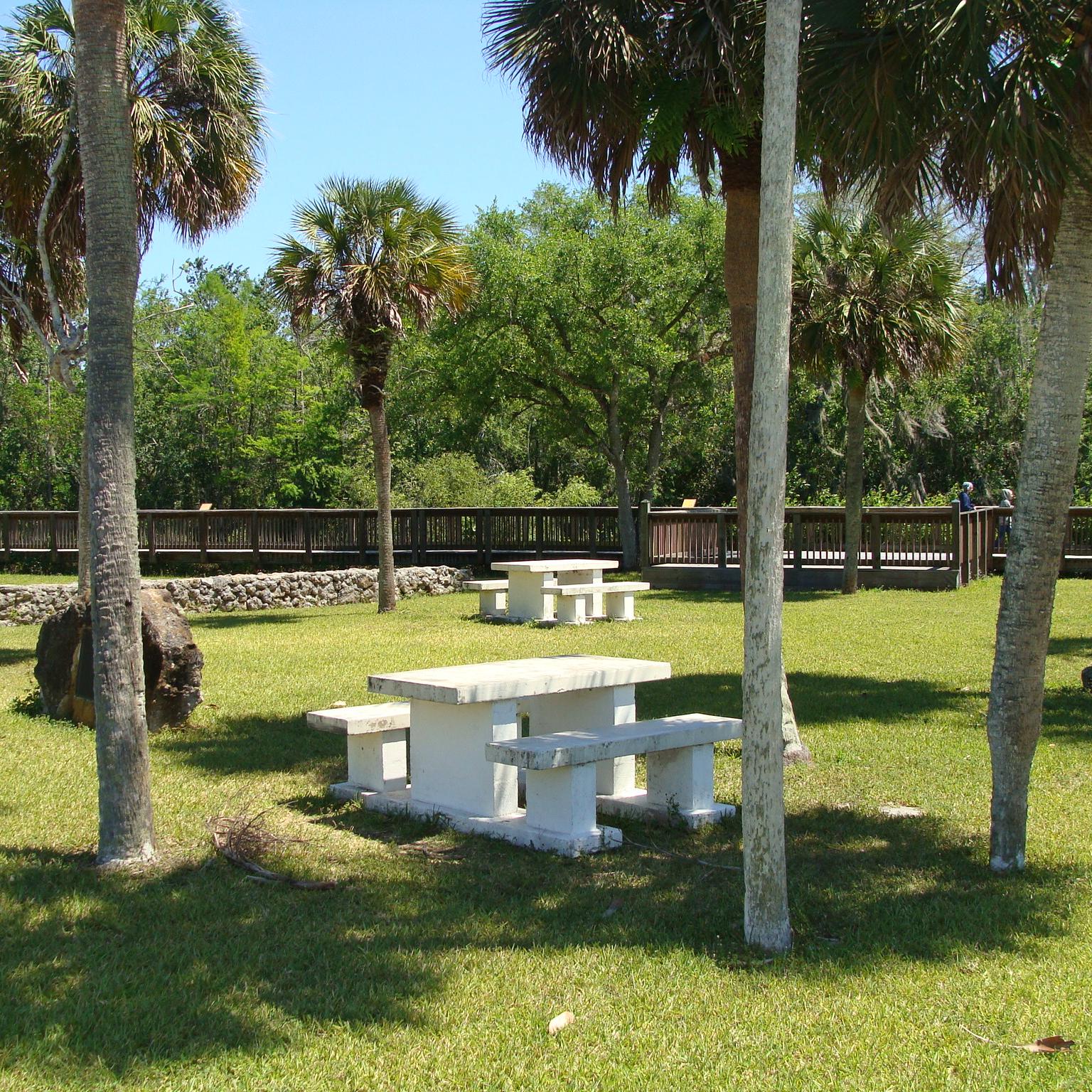 Picnic tables dispersed amongst palm trees with a boardwalk in the background of the image.