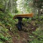 A person portages a canoe on a trail over a hill surrounded by forest. 