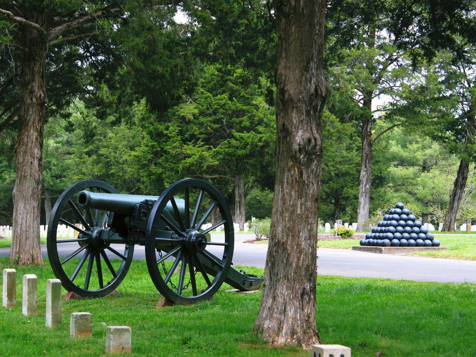 A Civil War cannon between two trees behind a row of headstones.