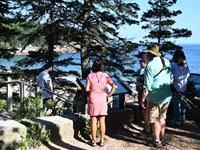 Group of visitors reading wayside exhibits at scenic overlook.