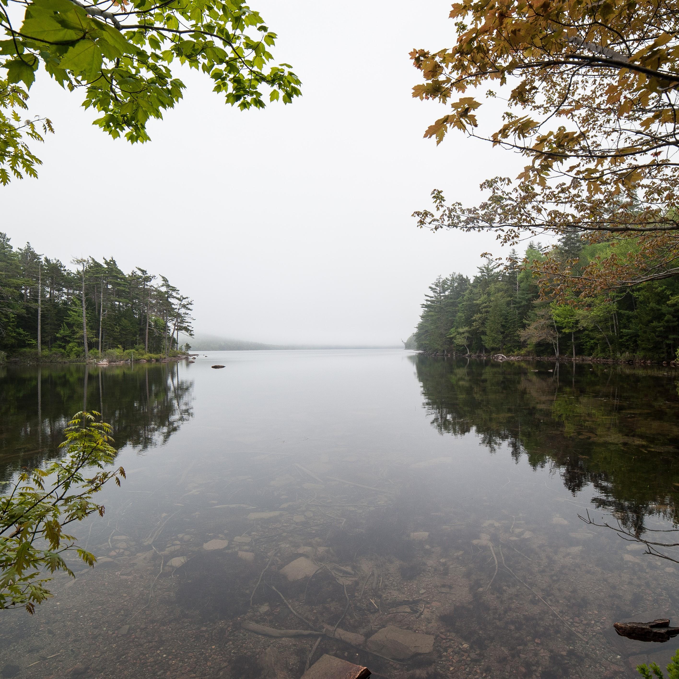 Trees line a waterway under a cloudy sky