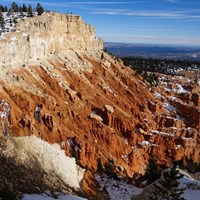 Red rocks topped with dark green trees slope down into a canyon of red rocks
