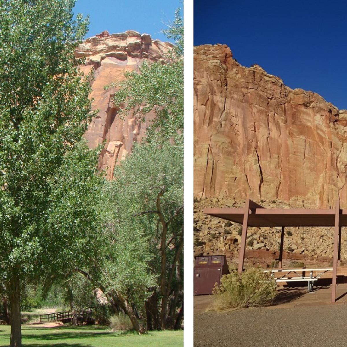 Lush, green grassy lawn with trees and red cliffs; covered picnic tables at the head of red canyon. 