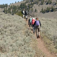 Hikers along a tan, bare ground trail through sagebrush.