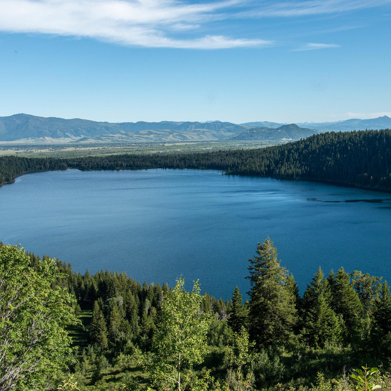 A lake surrounded by trees as viewed from above.