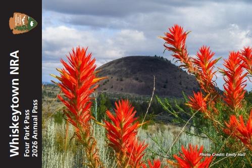Annual Entrance - Park