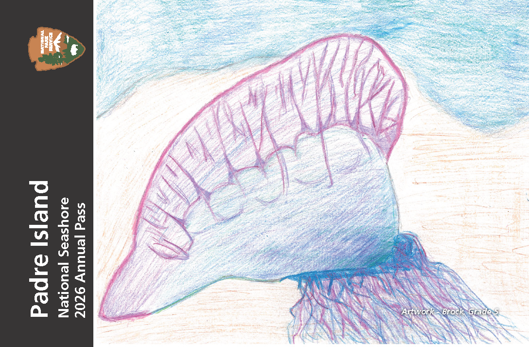 Annual Entrance - Park