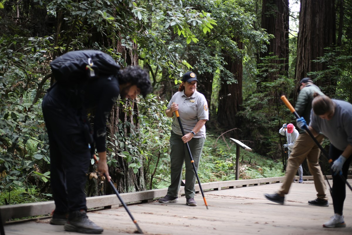 Three individuals push broom-like tools into a wooden boardwalk they're standing on in a forest.