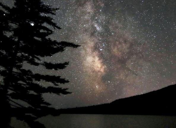 The milky way galaxy visible in the night sky with the silhouette of a mountain and pine tree