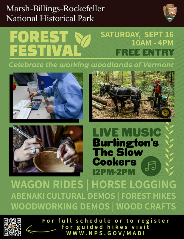 Forest Festival poster