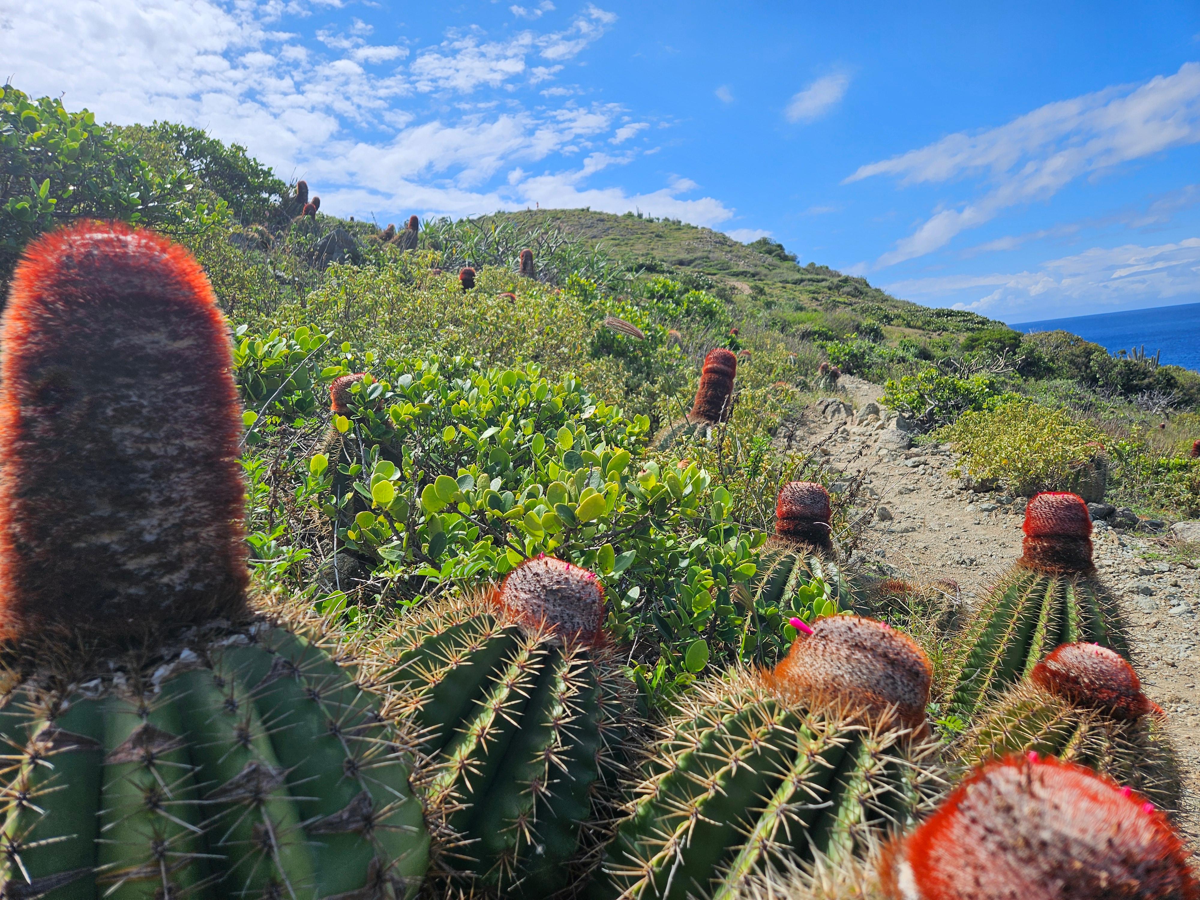 Virgin Islands National Park
