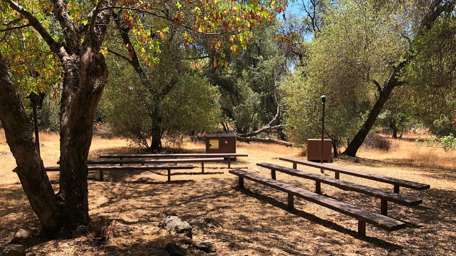 Wooden benches sit in a shaded outdoor amphitheater surrounded by dry grass and oak trees.