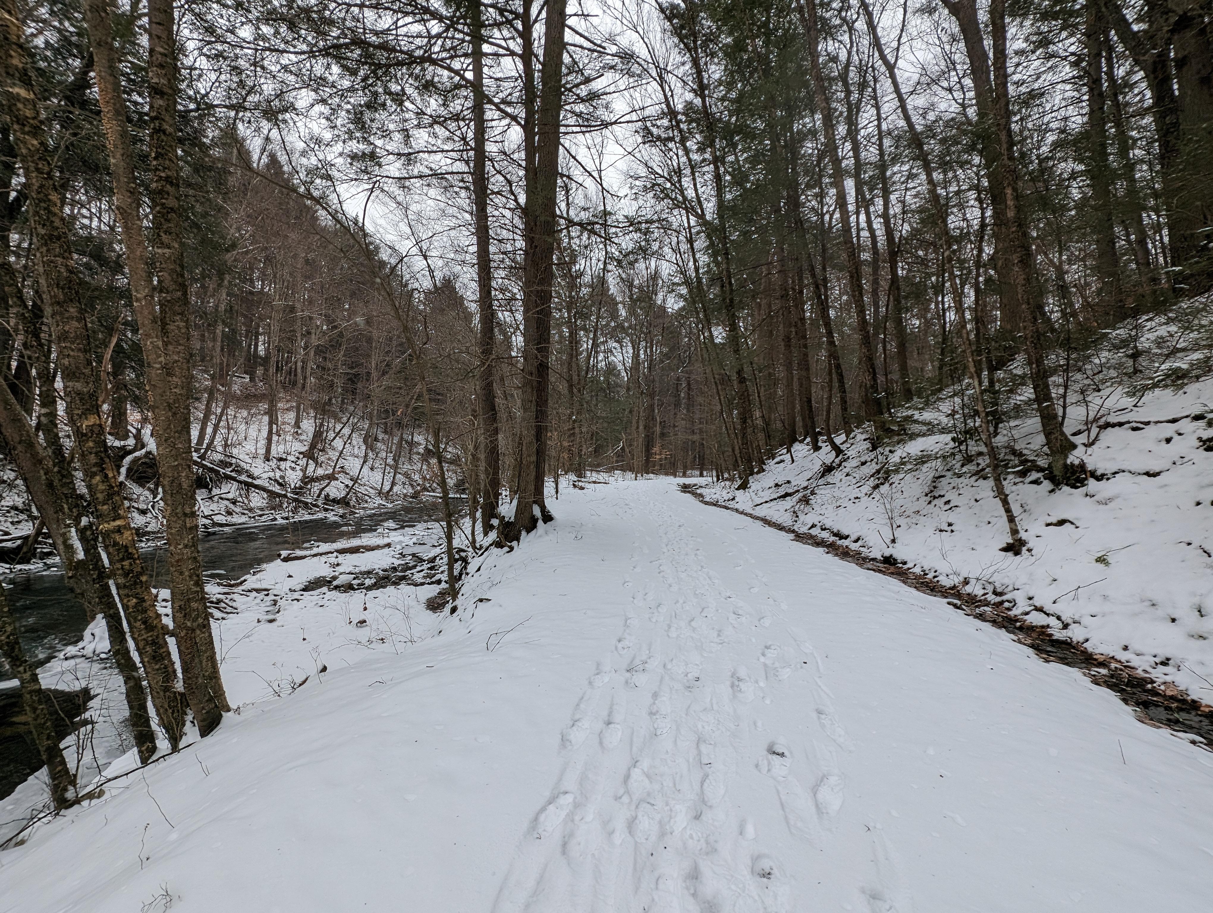 A snow-covered trail.