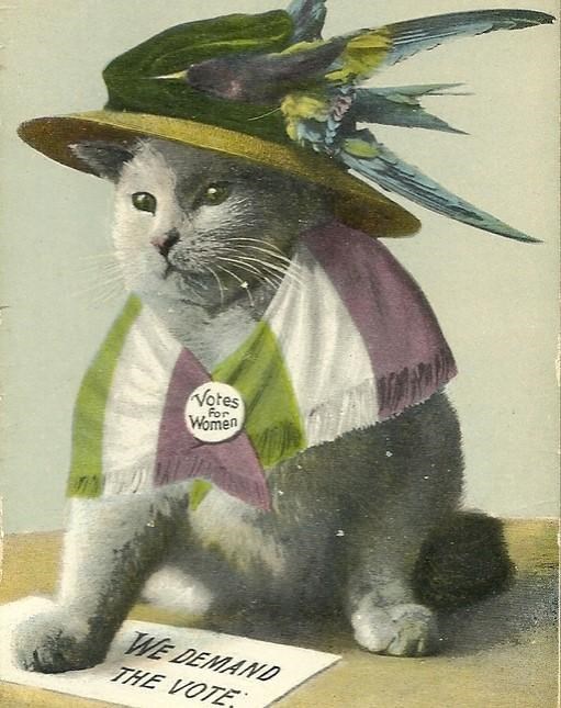 Illustrated grey cat wearing a feathered hat and shawl with Votes for Women pin