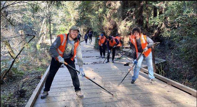 Volunteers "Flossing" The deck at Muir Woods