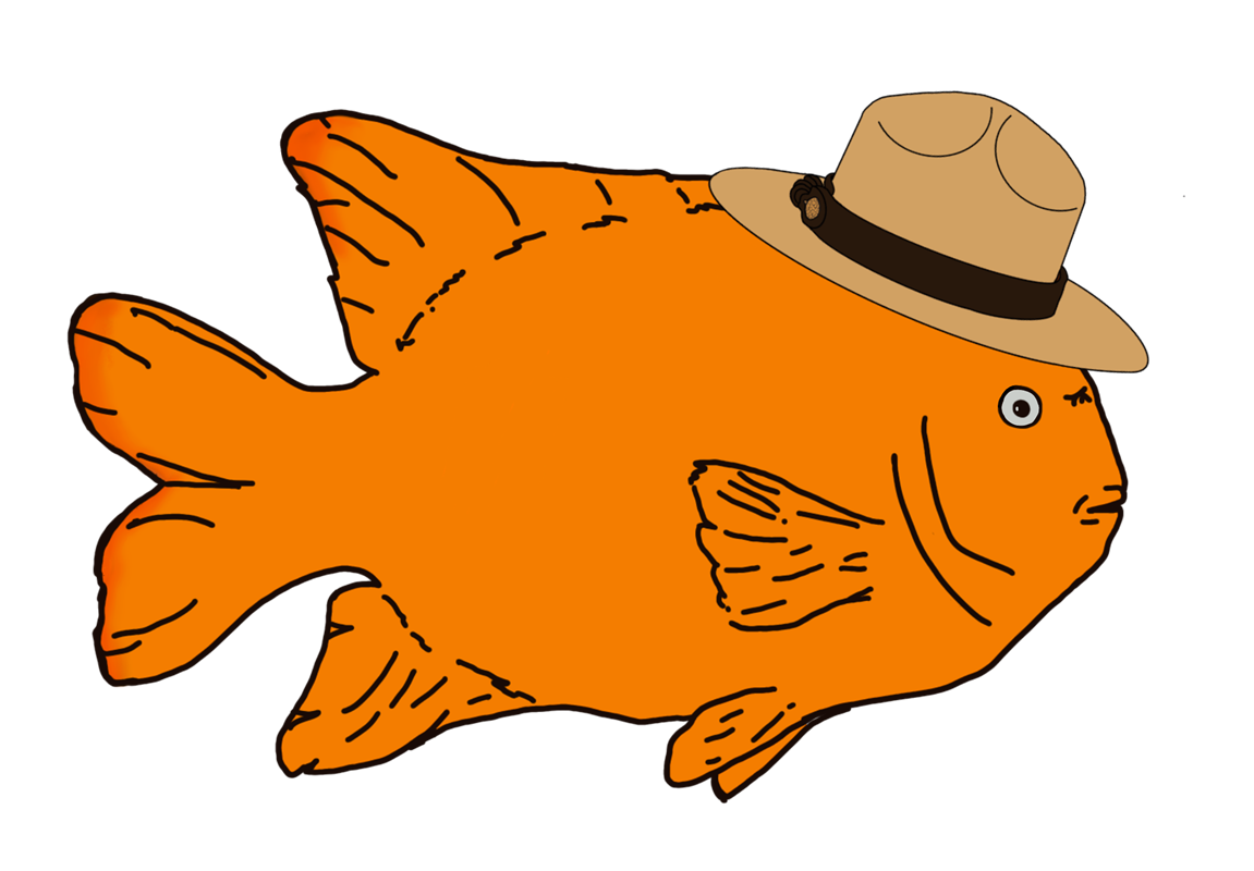 Orange fish wearing a ranger hat