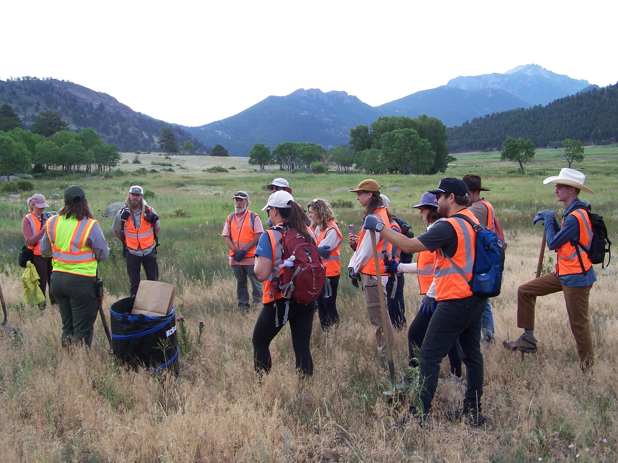 A group of volunteers are in a meadow