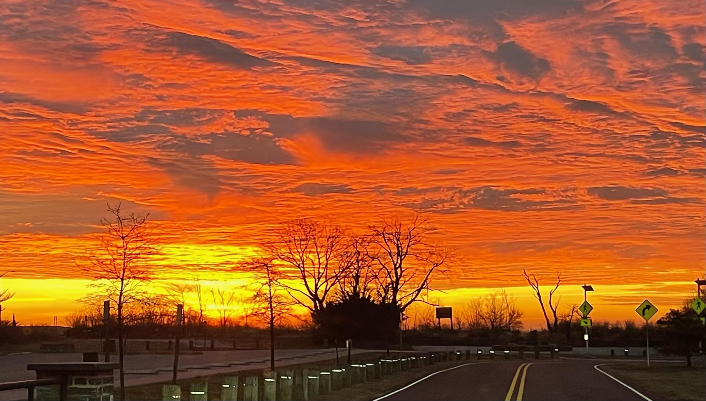 Sunrise over field