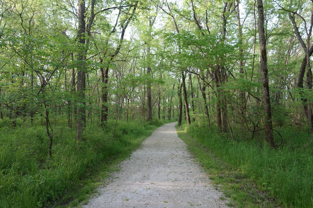 Carver gravel walking trail surrounded by green trees.