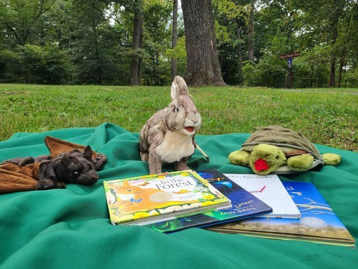 Stuffed animals and books spread on a green blanket