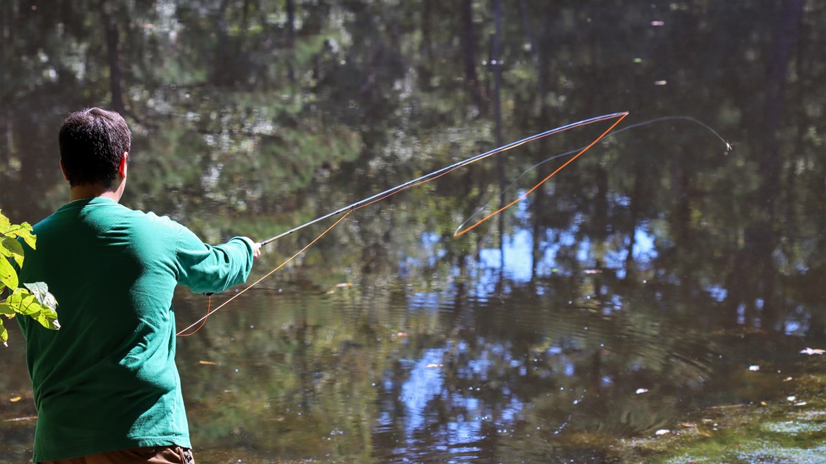 person casting a fishing line into a pond
