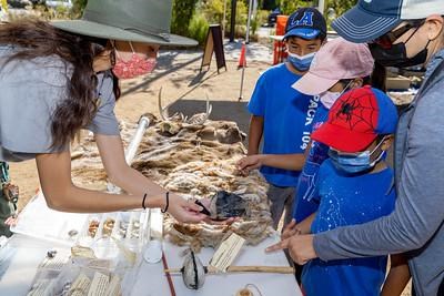 Guests and a ranger circle around a historic artifact replica and inspect colors in the pelts.