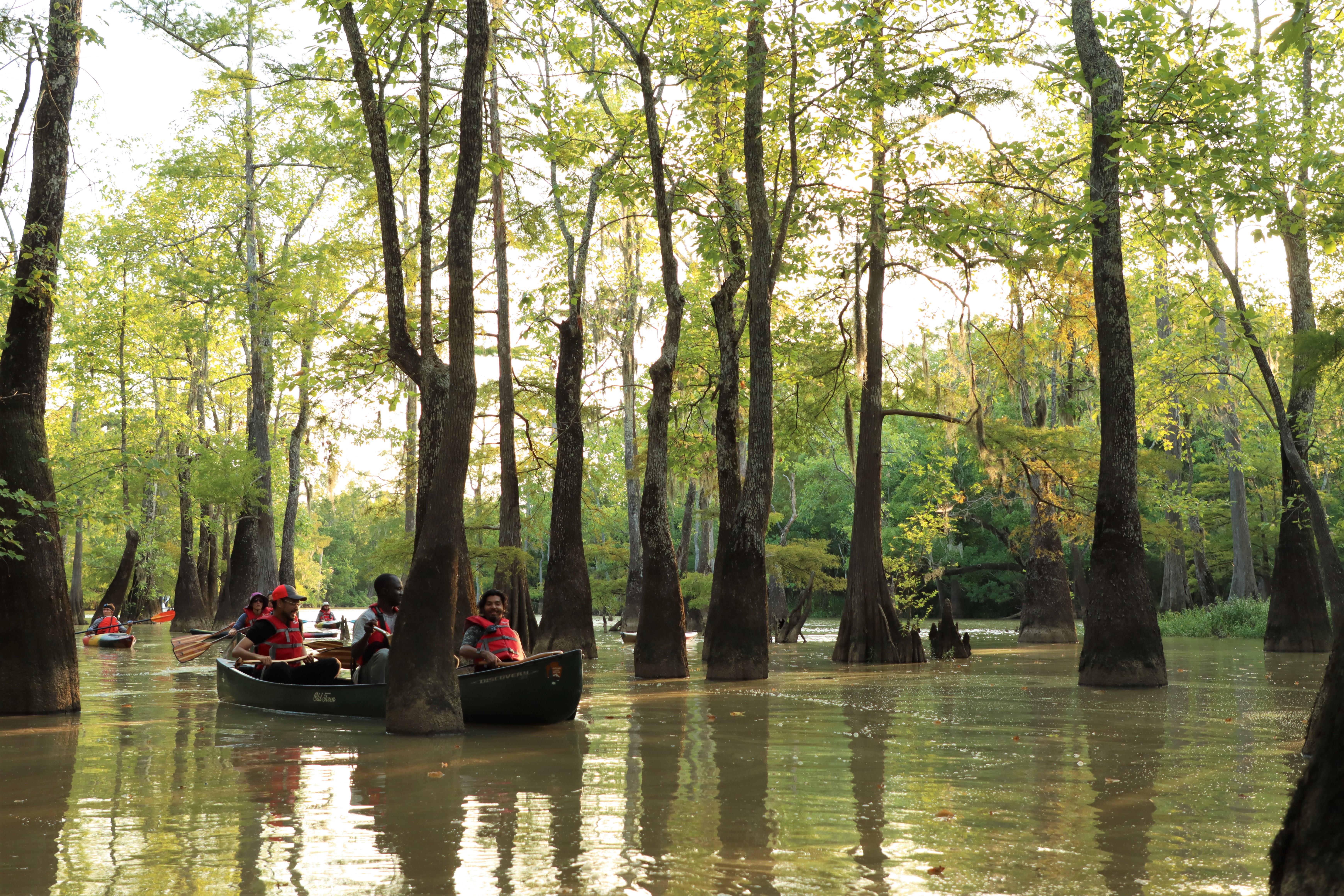 group of canoeists and kayakers paddling through a cypress-tupelo slough as the sun goes down