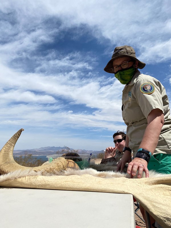 Volunteer shows exhibits of preserved furs and animal remains.