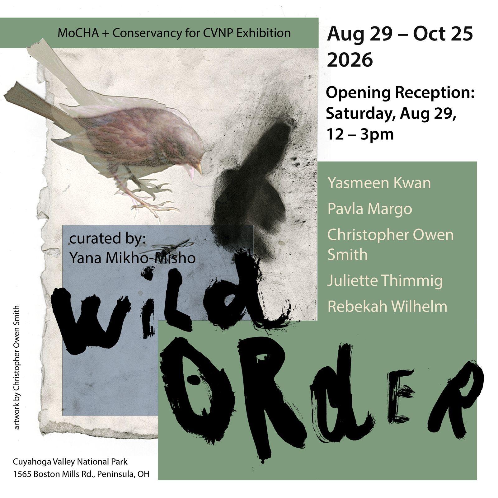 The Boston Gallery: Wild Order: Studies in Natural Form