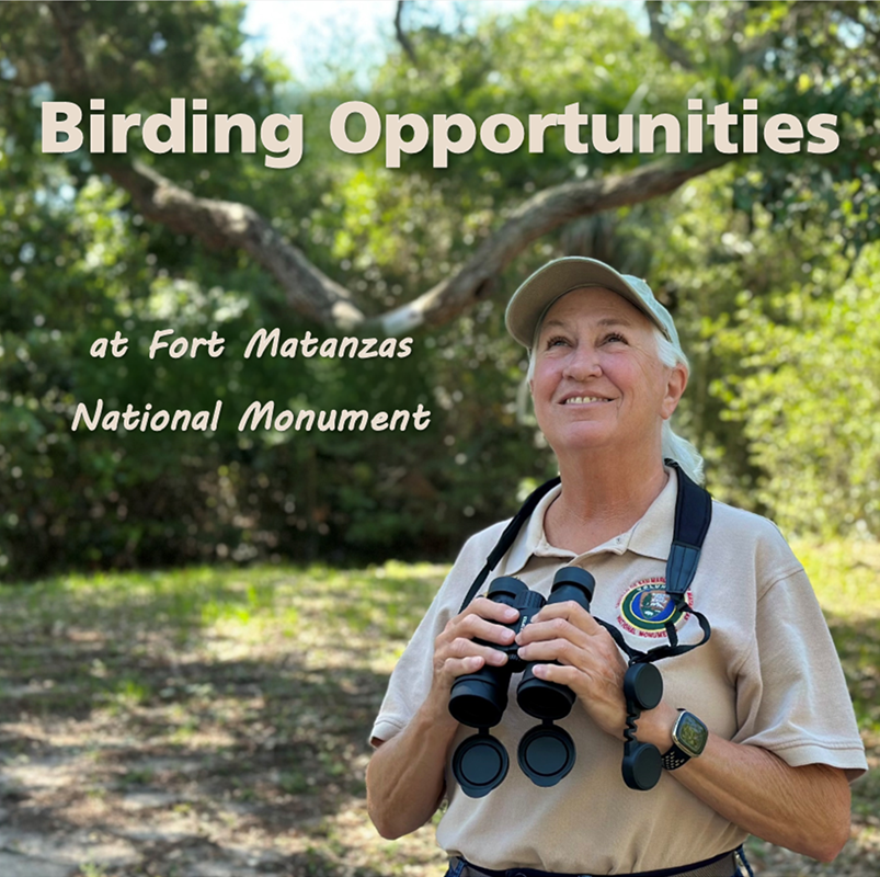 NPS Volunteer holding binoculars and looking up