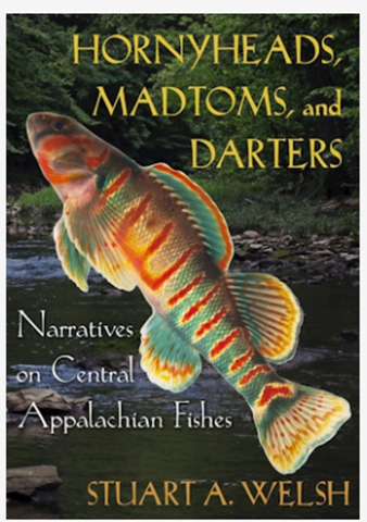 image of book cover with colorful fish