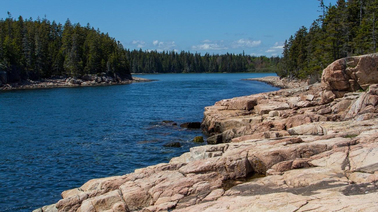 A cove with granite cliffs and pine trees on either side