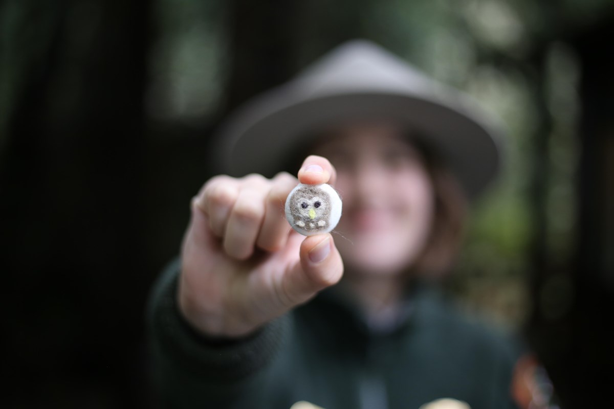 A blurry ranger holds an adorable felted owl button