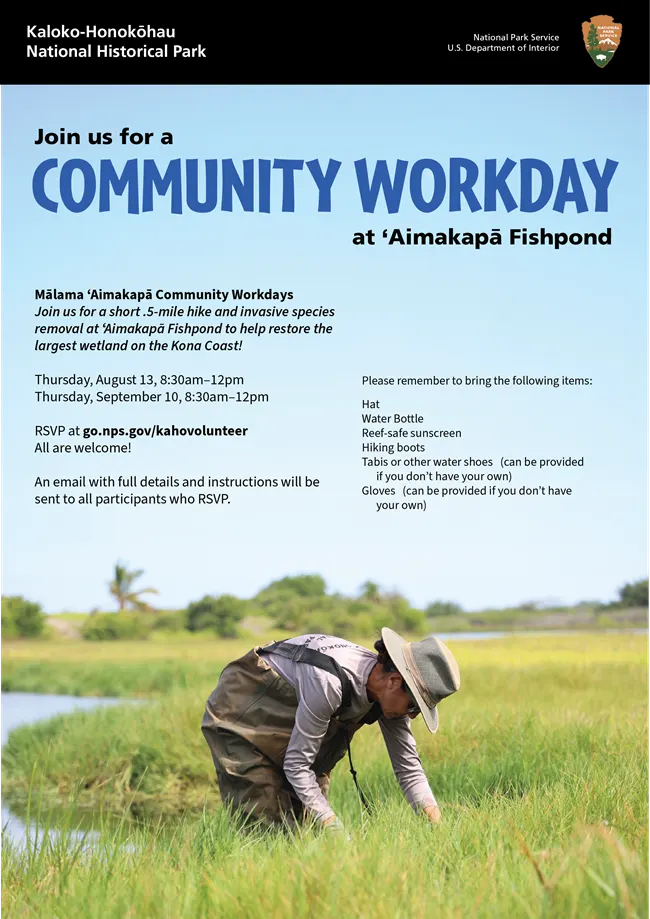 Flyer for Community Workday