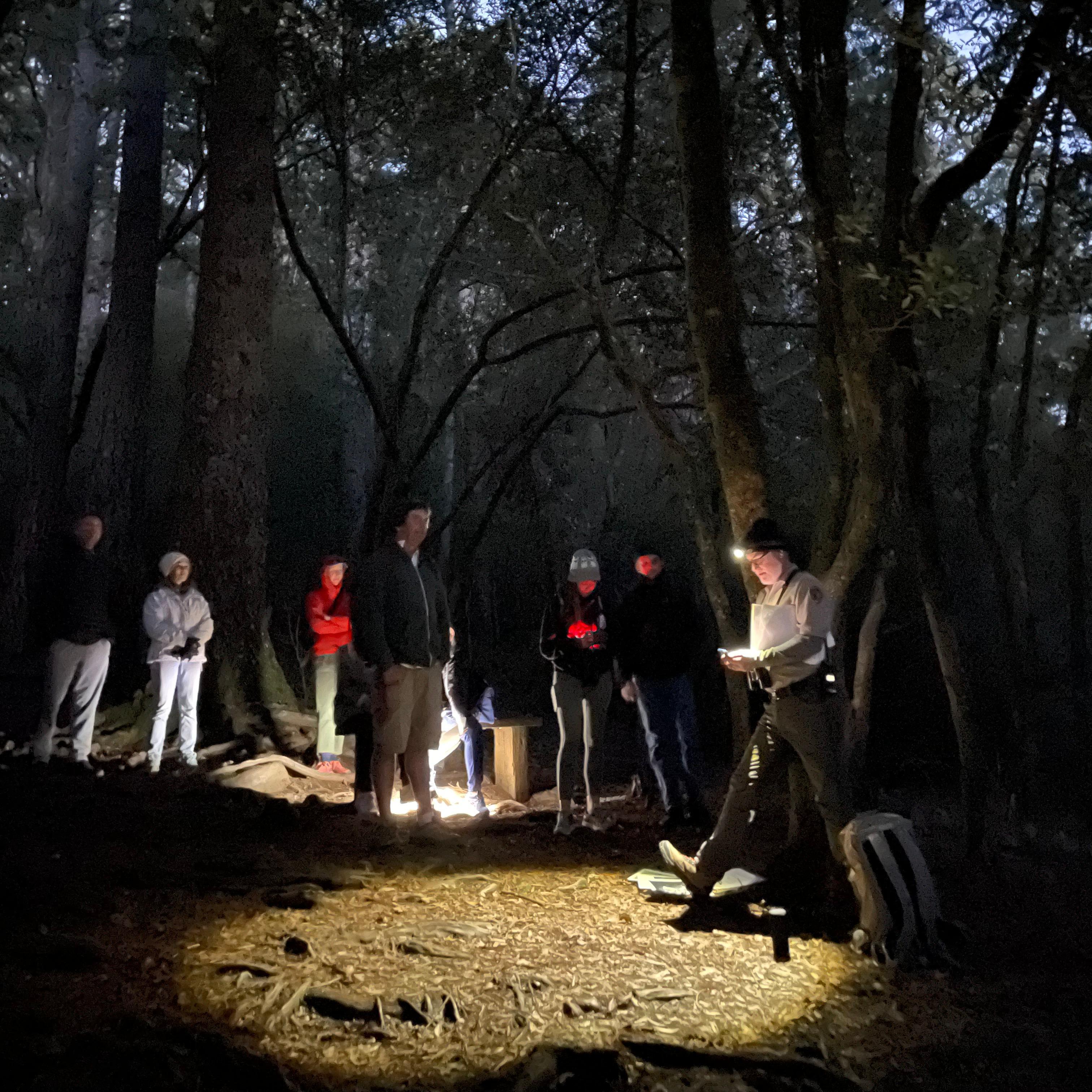 Visitors with flashlights listen to park staff in the darkening woods.