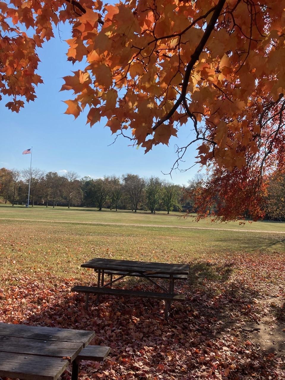 The Great Escape (Free Outdoor Movie at Fort Hunt Park)