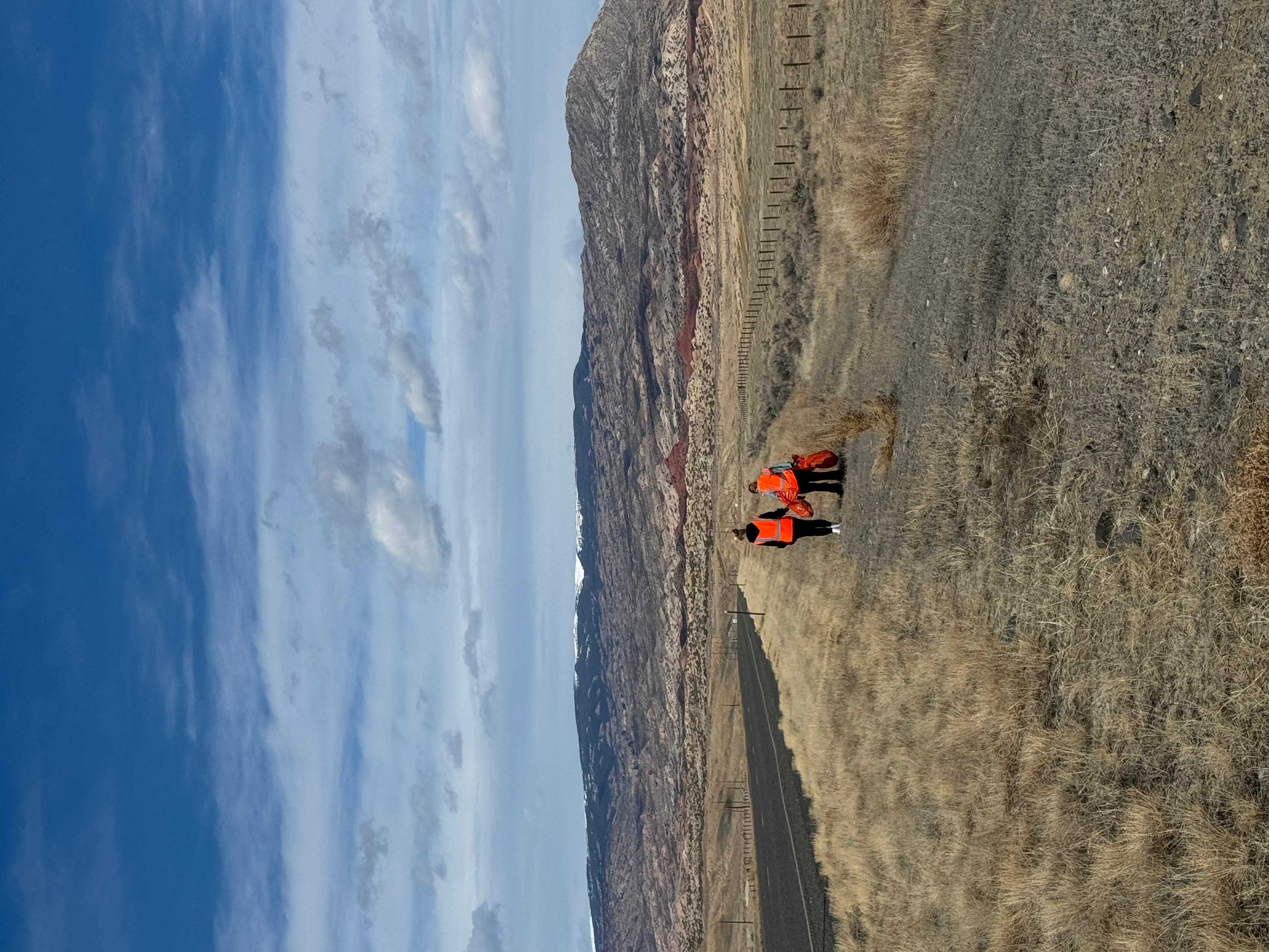 Two people in orange vests walk along HWY 37 picking up trash.