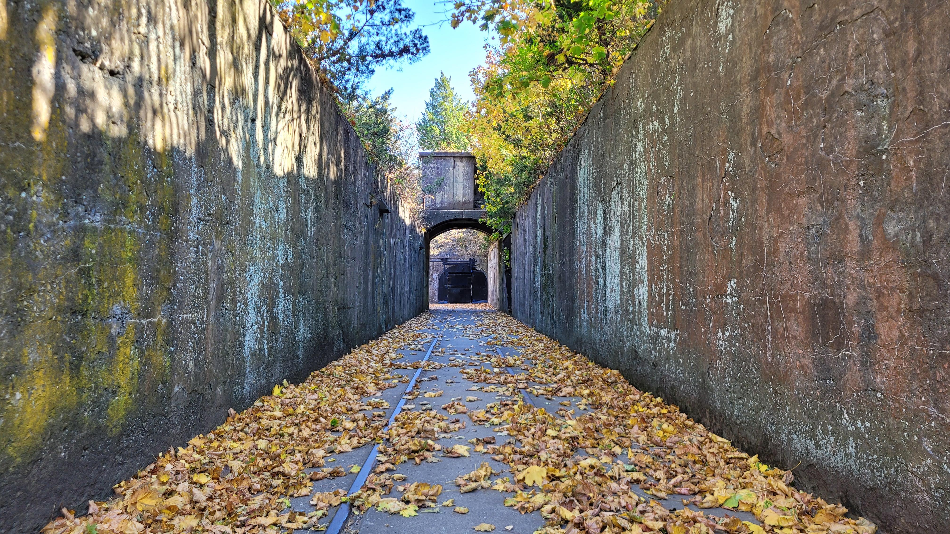 Narrow entryway with leaves covering floor