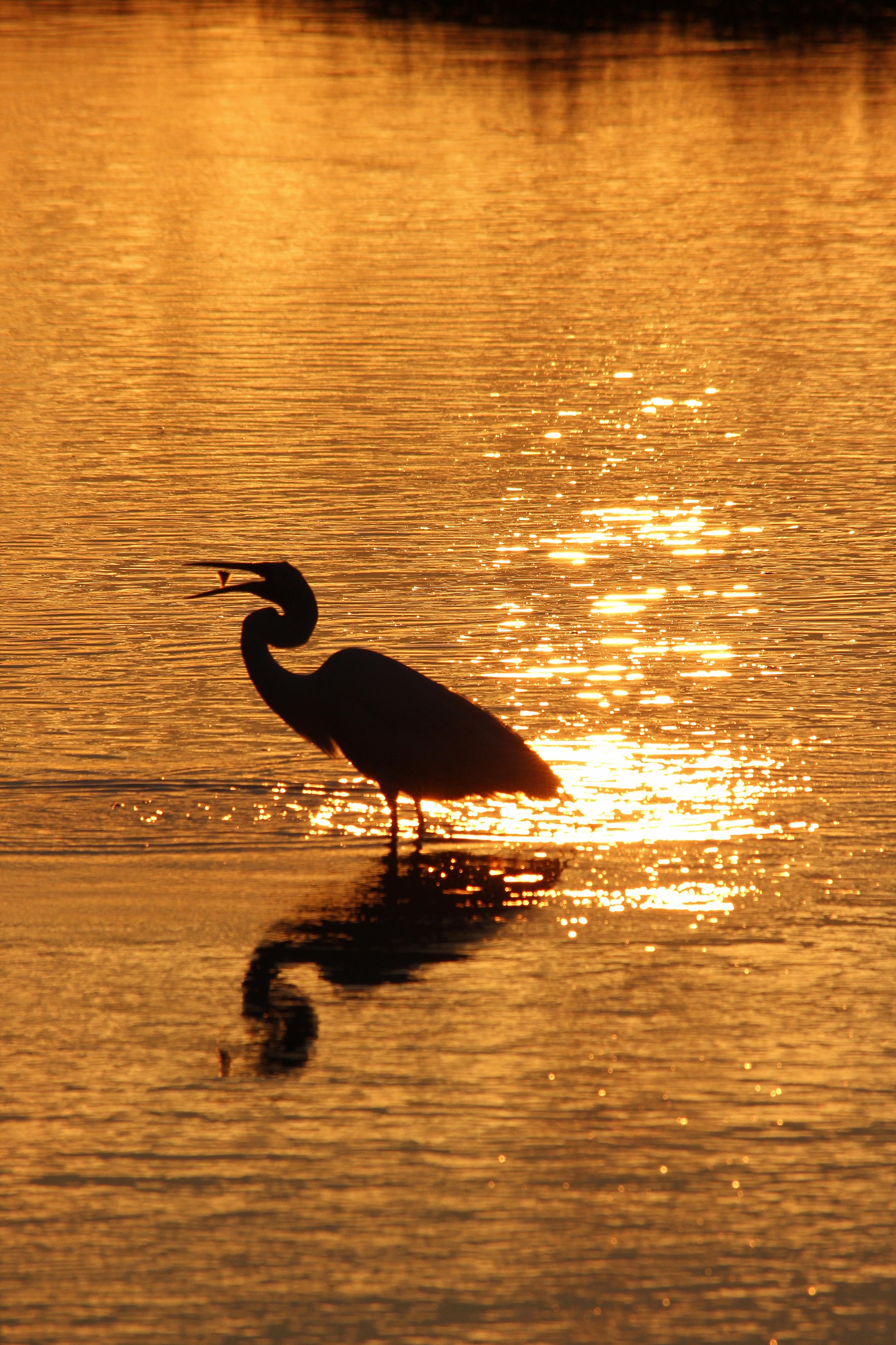 Autumn Equinox Jamaica Bay Sunset Hike