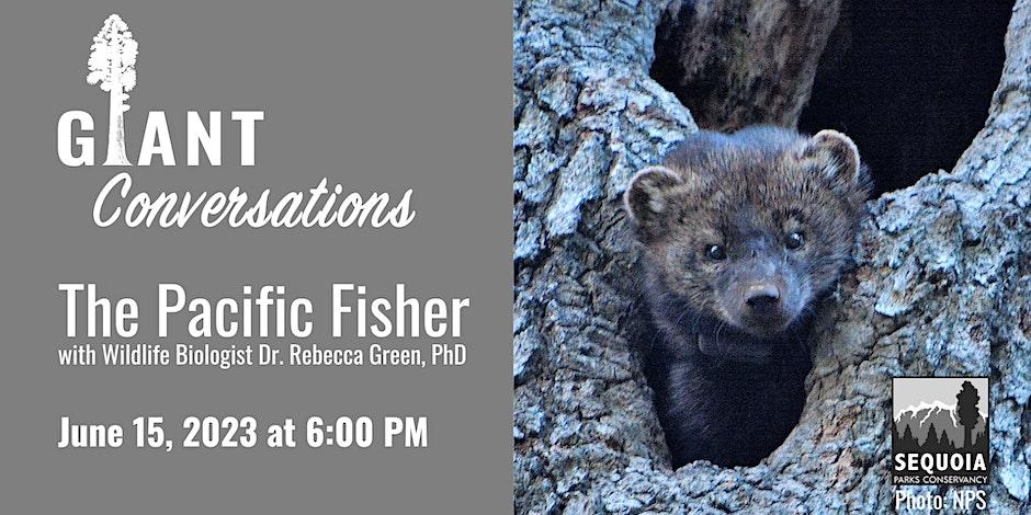 A graphic advertising the Giant Conversations event with event details a picture of a Pacific Fisher