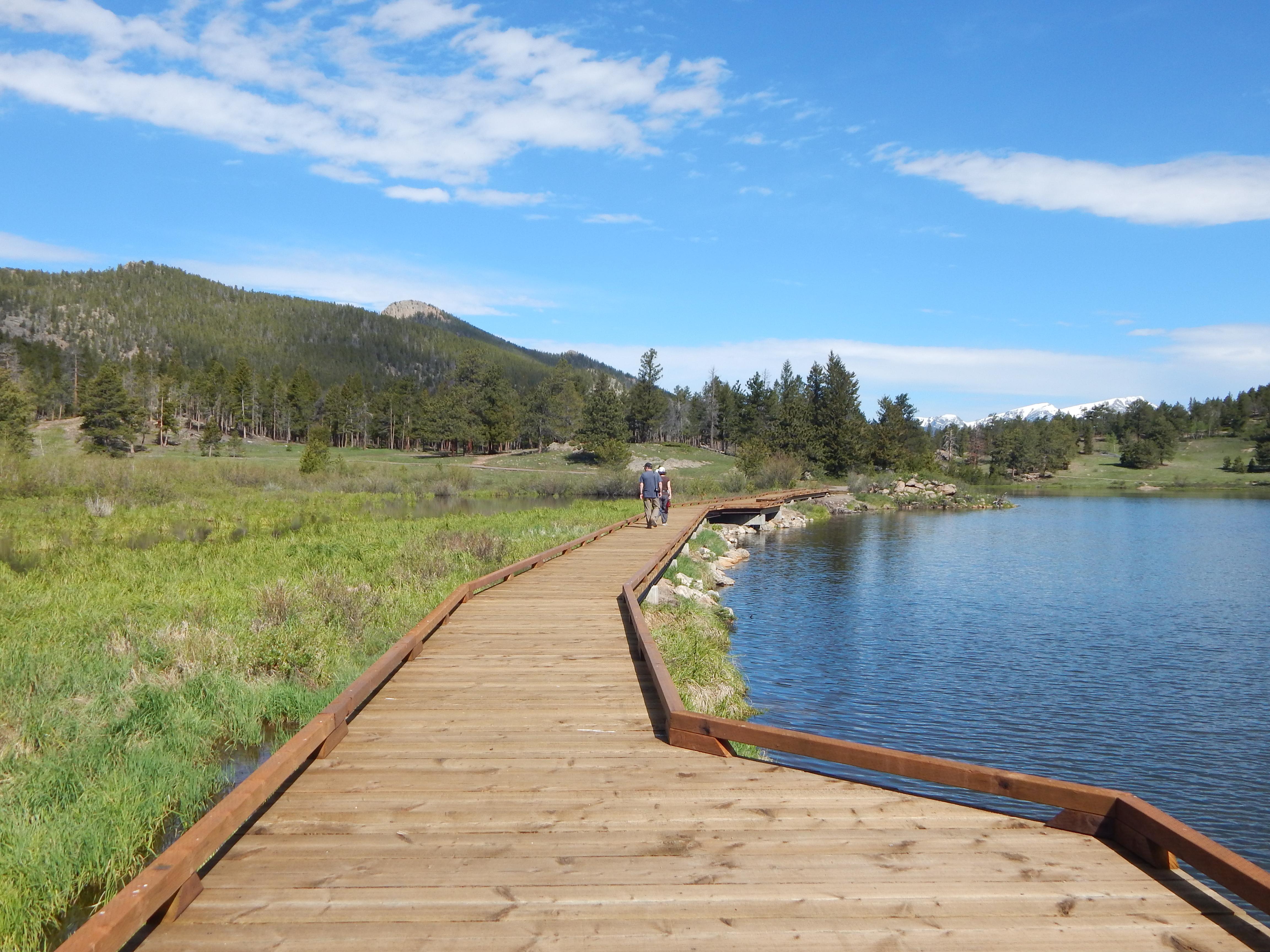 Boardwalk section of the Lily Lake Trail