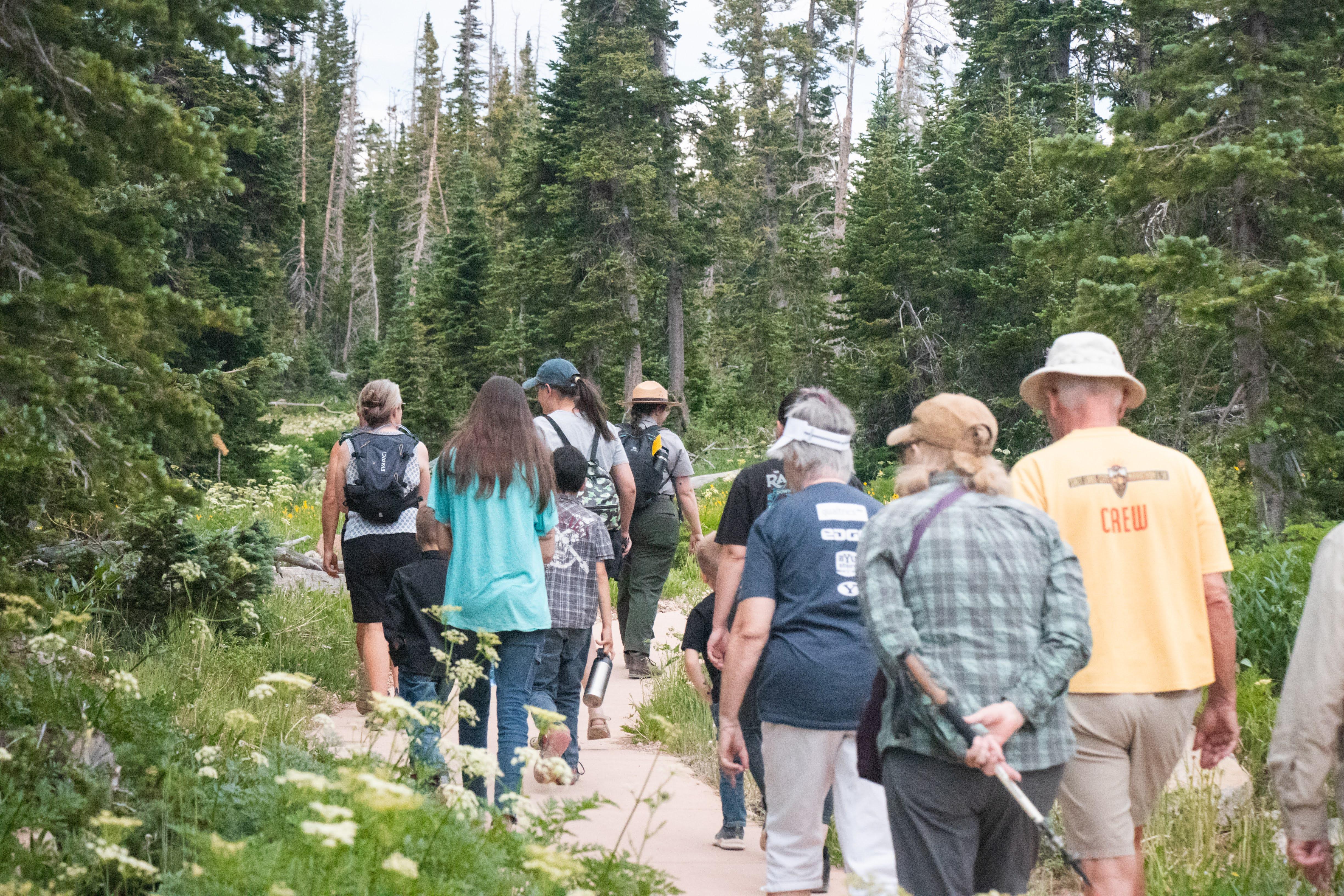 A group walks on a paved trail and along lush meadows.