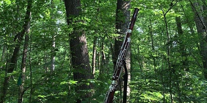 Bassoon in the forest