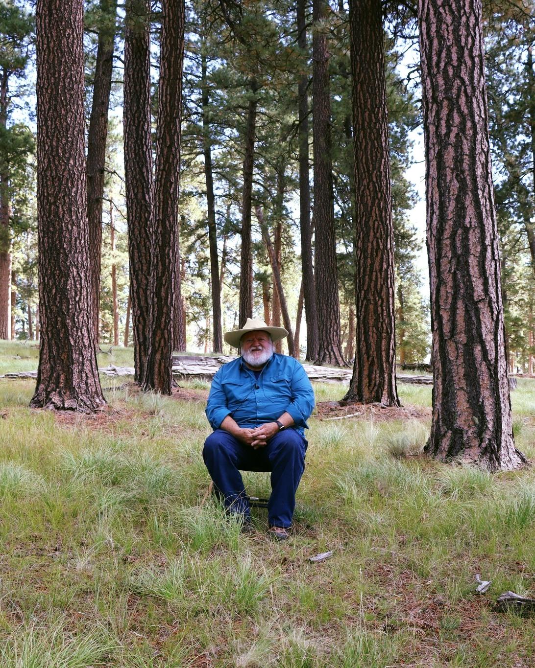 A man sits on a chair in an old growth pine grove.